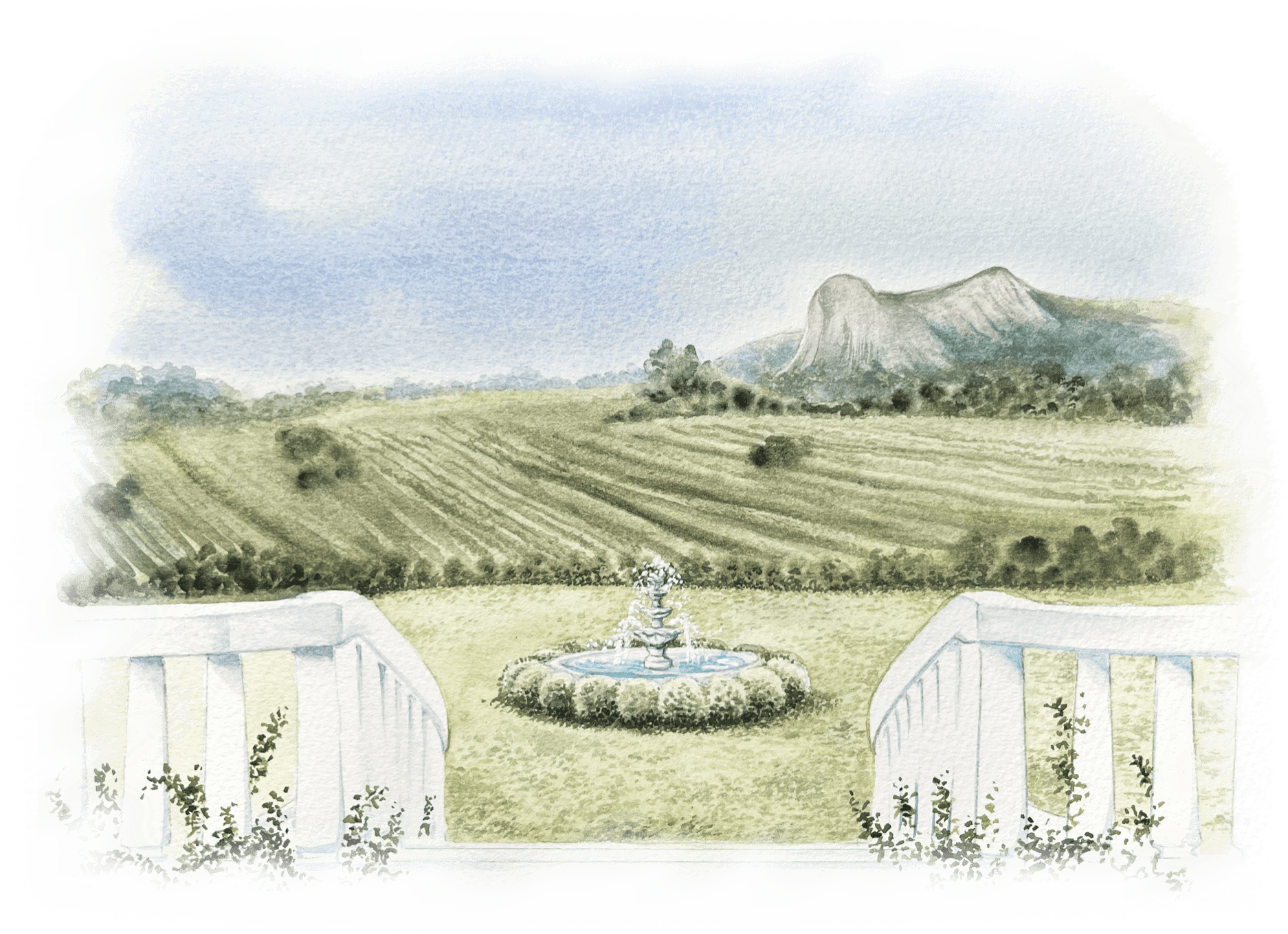 Aquarela